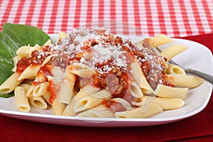 Penne Pasta Meal photo