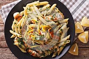 Penne Pasta with pesto, chicken breast and lemon closeup. Horizontal top view