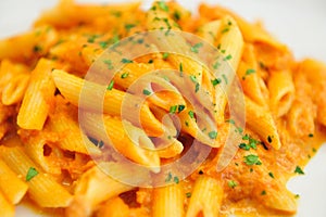 Penne Pasta with Salmon Sauce