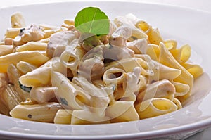 Penne pasta with white sauce