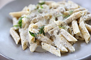 Penne pasta with white sauce and truffle , italian food