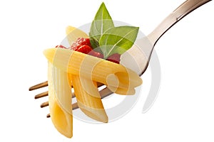 Penne rigate pasta with tomato sauce and basil on a fork