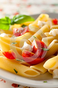 Penne Tricolore photo