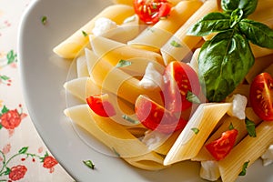 Penne Tricolore photo