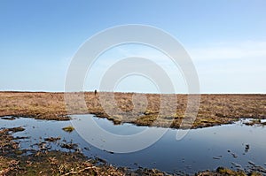 Pennine moorland on midgley moor in calderdale with a small pond reflecting the sky surrounded by cut bracken and a standing