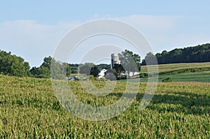 Pennsylvania countriside farm and corn fields