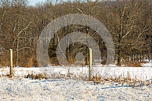 Pennsylvania Fence in Winter