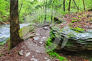 Pennsylvania Hiking Trail