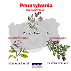Pennsylvania. Set of USA official state symbols