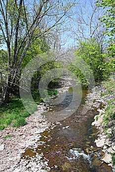 Pennsylvania Trout Stream