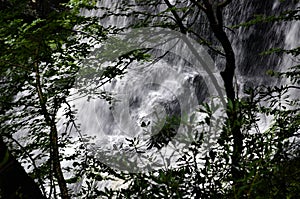 Pennsylvania waterfall cascading through the trees