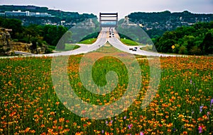 Pennybacker Bridge 360 highway Spring Wild Flower Display