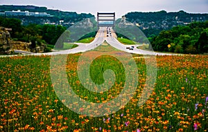 Pennybacker Bridge 360 highway Spring Wild Flower Display photo
