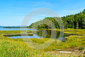 Penouille sector of Forillon National Park