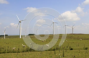 Penrhyddlan and LLidiartywaun Windfarm