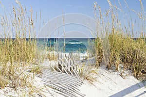 Pensacola Beach Dunes