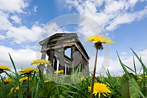 Penshaw Monument