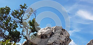 Pensieri poetici sul Circeo photo