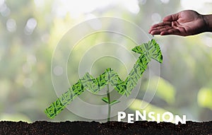 Pension money savings financial concept and retirement and people Investment growing