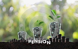 Pension money savings financial concept and retirement and people Investment growing