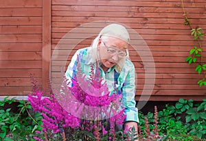 Pensioner weeding in her garden