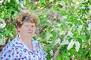 Pensive elderly woman in spring nature with cherry flowers