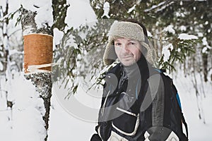 Pensive male forester wonders who could remove the bark from a birch trunk in a winter forest.