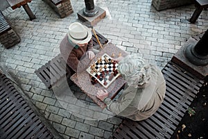 Pensive mature men entertaining with chessboard