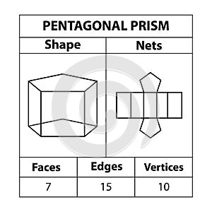 Pentagonal Prism Nets, faces, edges, and vertices. Geometric figures are set isolated on a white backdrop.