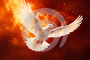 Pentecost Sunday. Flying white dove in fire background. Symbol of the Holy Spirit.