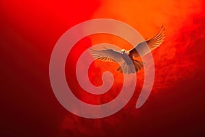 Pentecost Sunday. Flying white dove in fire background. Symbol of the Holy Spirit.