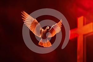 Pentecost Sunday. Flying white dove in fire background. Symbol of the Holy Spirit.