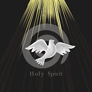 Pentecost Sunday. Holy Spirit.