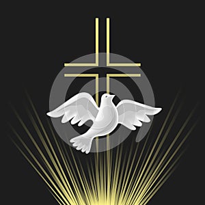 Pentecost Sunday Holy Spirit vector icon