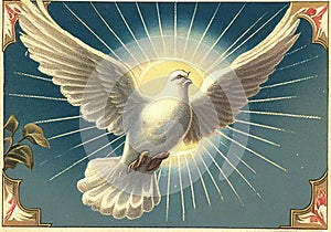 Pentecostal dove. Vintage postcard. photo