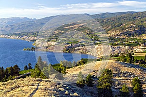 Penticton Okanagan Valley Vineyard photo