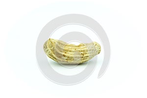 penut isolated on white background