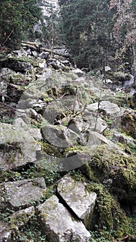 Penya Montanyesa in the Aragonese Pyrenees, Huesca, Spain photo