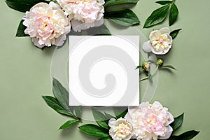 Peonies background with copy space