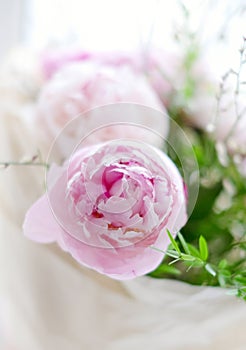 Peonies bouquet