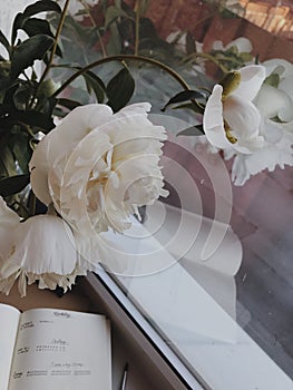 Peonies and diary by the window.