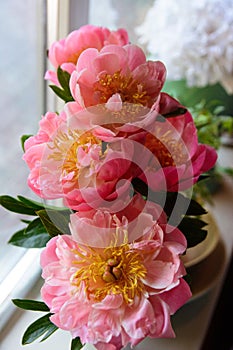 Peonies of flowers on a leg in the interior of the restaurant for a celebration shop floristry or wedding