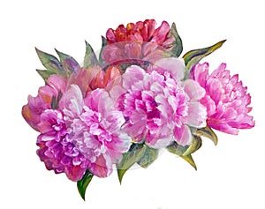 Peonies , oil painting