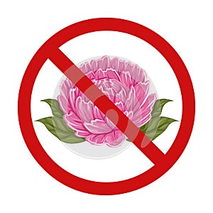 Peonies in the prohibition sign. Vector prohibition sign with pink lush flowers. Allergy danger. Dont pick flowers