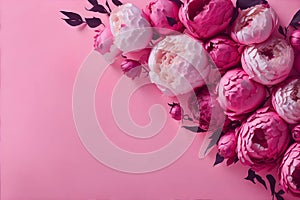 Peonies, roses on pink background with copy space. Abstract natural floral frame. Romantic feminine composition