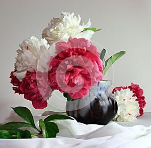 Peonies still life