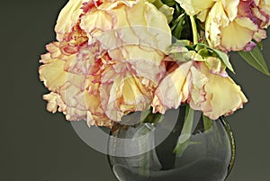 Peonies in Vase 