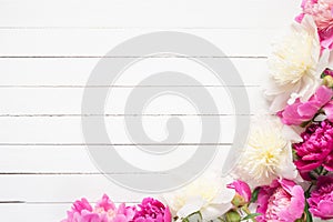 Peonies on white, floral frame / background photo