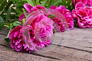 Peonies on the wooden background