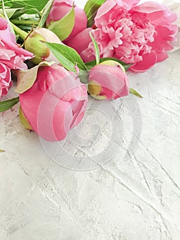 Peony bouquet on gray concrete background frameblossom